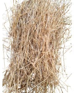 Grote balen Nederlands graszaadhooi (engelsraai) 90 cm