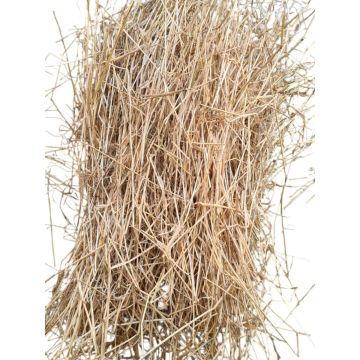 Grote balen Nederlands graszaadhooi (engelsraai) 90 cm