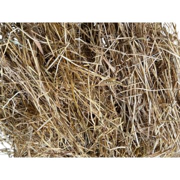 Kleine balen Nederlands graszaadhooi