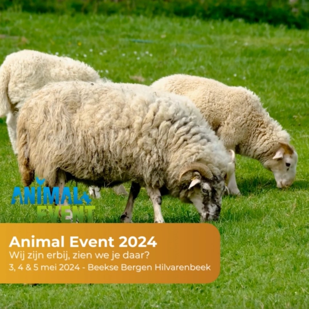 Hay to You op Animal Event