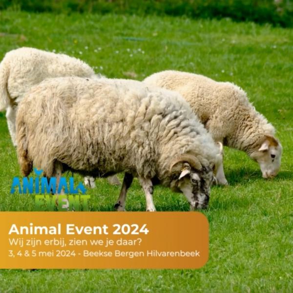 Hay to You op Animal Event