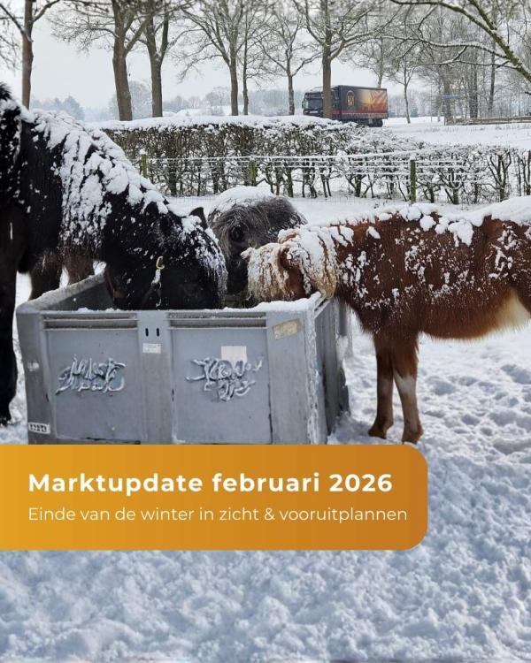 Marktupdate februari 2026