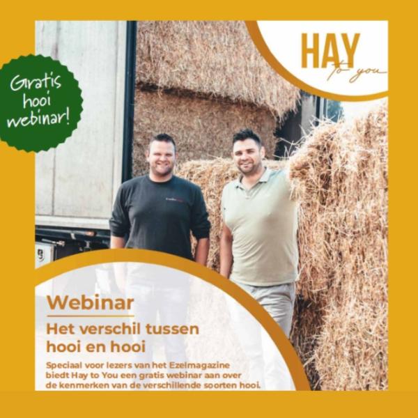 Webinar Ezelmagazine