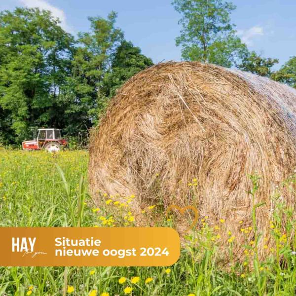 Situatie nieuwe oogst hooi 2024
