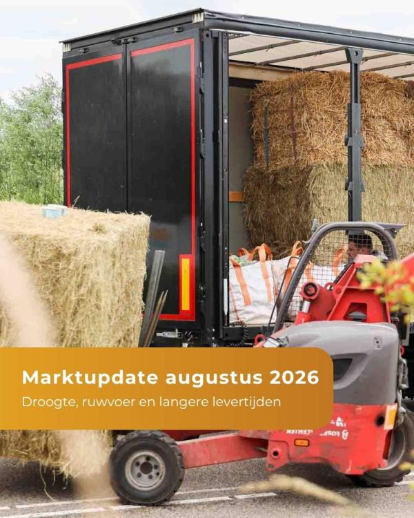 Marktupdate - Augustus 2026
