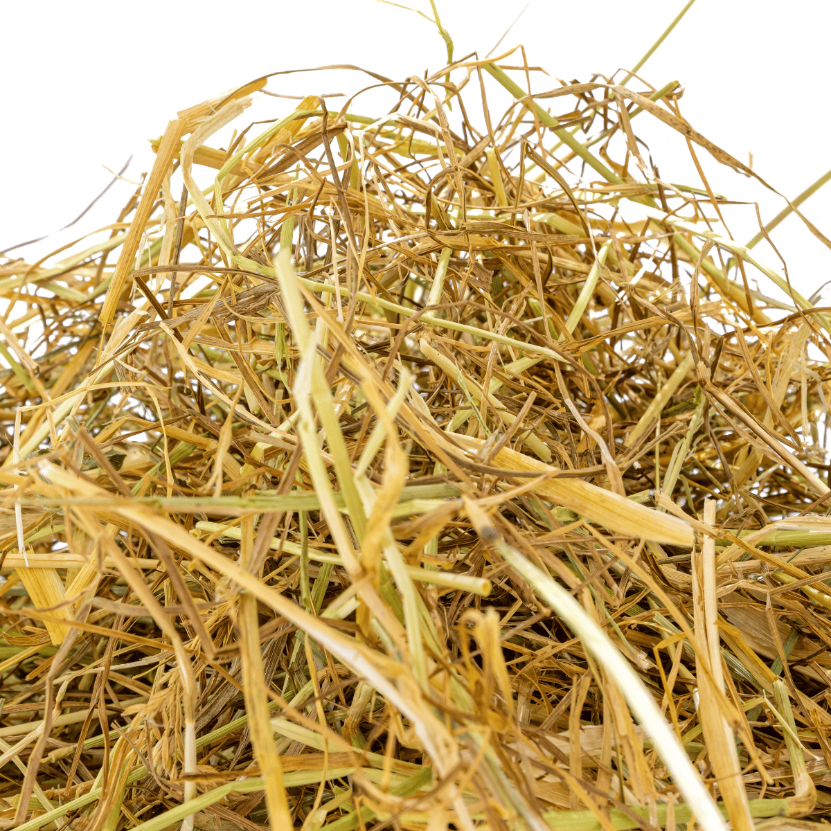 Graszaadhooi